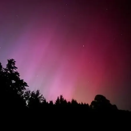 L'atelier A L'oree Des Bois Saint-Pierre-en-Auge