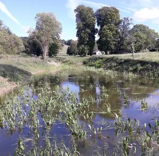 L'atelier A L'oree Des Bois
