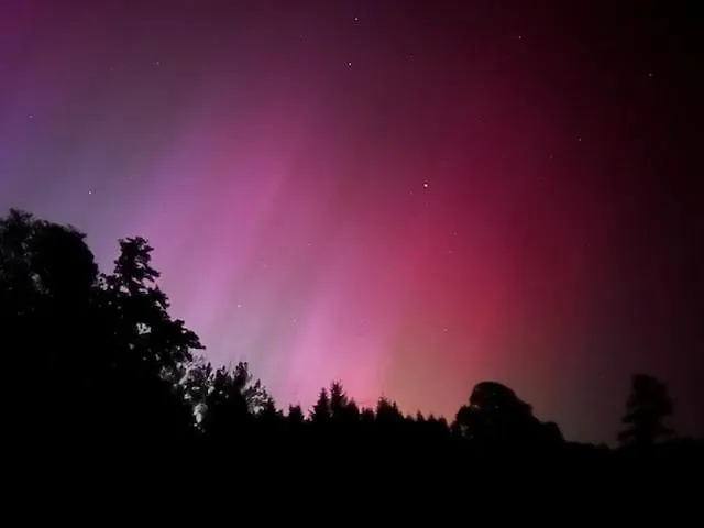 L'atelier A L'oree Des Bois Saint-Pierre-en-Auge